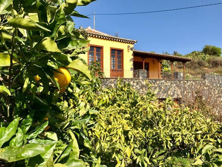 Вилла Rustic House La Montana Брения-Баха Экстерьер фото